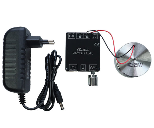 未使用❕碁盤 Виброколонка 25 Ватт в комплекте - Усилитель Sinilink XY-C50L +